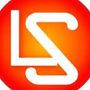lisun group